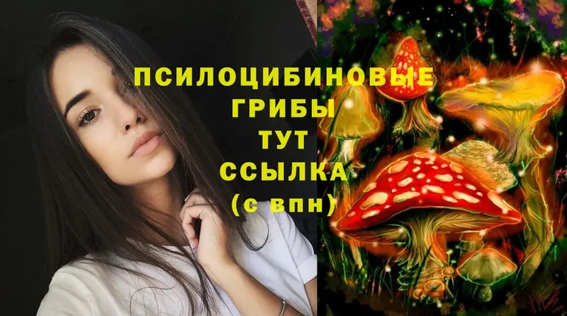 Псилоцибиновые грибы Psilocybine cubensis  Лермонтов 